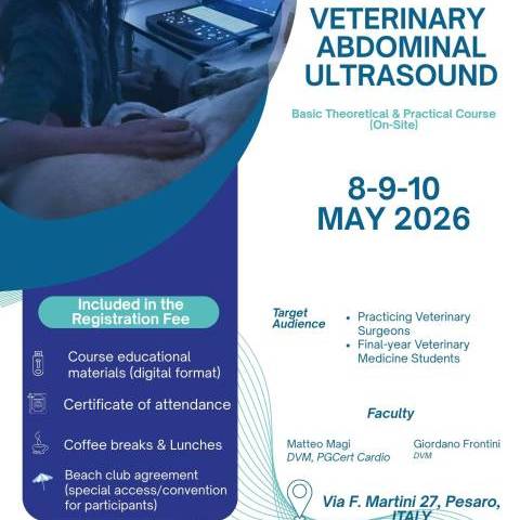 Veterinary Abdominal Ultrasound - Basic Theoretical & Practical Course (on site)